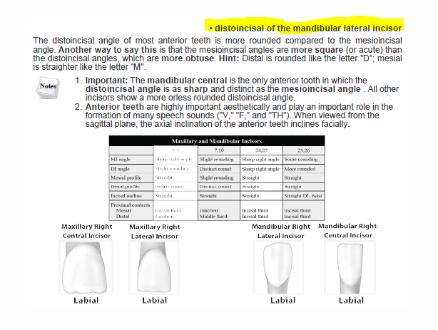 Dental Decks Part I Volume 13 - Dental Decks